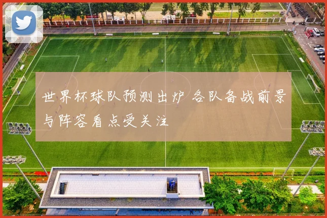 世界杯球队预测出炉 各队备战前景与阵容看点受关注